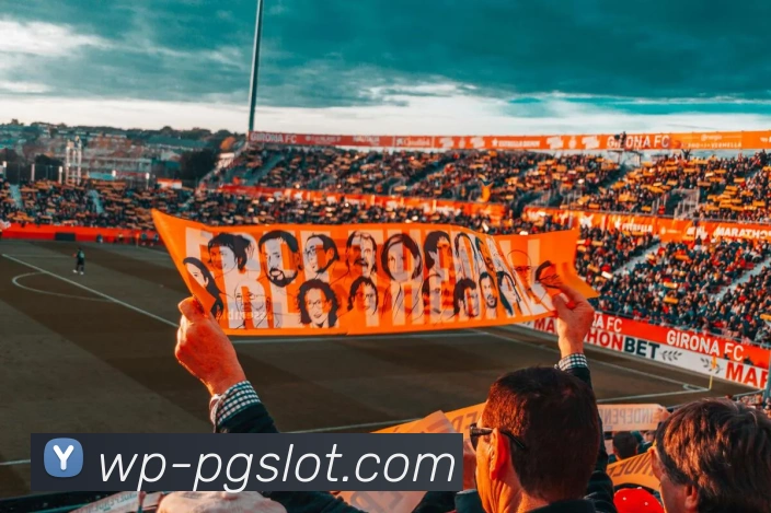 PG电子官网平台生态图